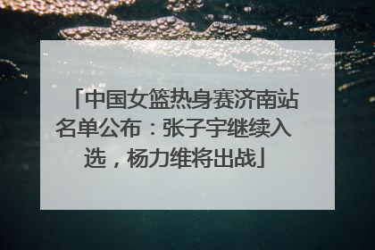 中国女篮热身赛济南站名单公布：张子宇继续入选，杨力维将出战